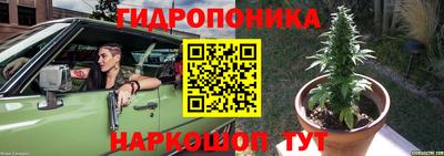 метадон Дубна