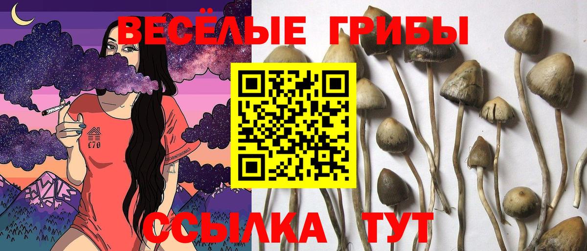 Назрань  Вход с VPN  Конопля  Кокаин  Сколько стоит  МЕФ  