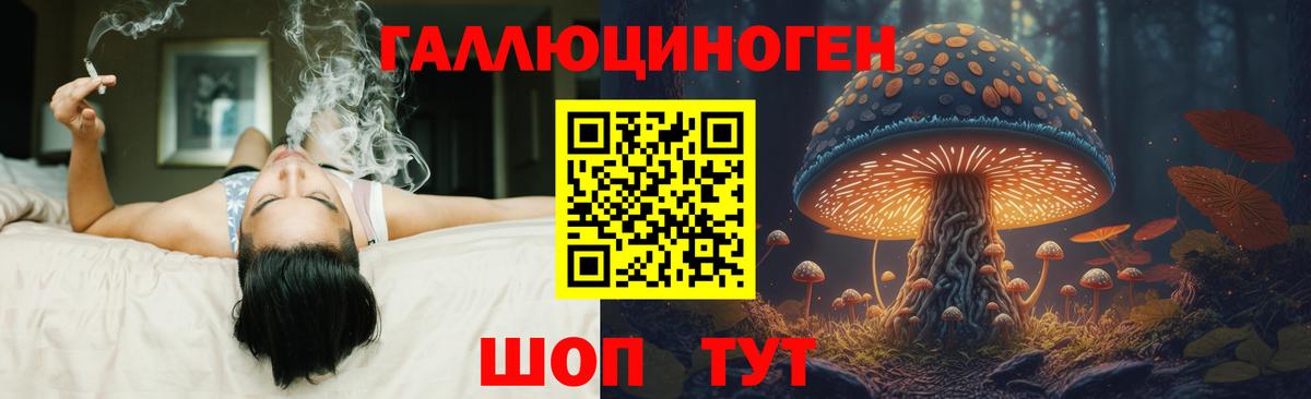 Галлюциногенные грибы GOLDEN TEACHER Назрань